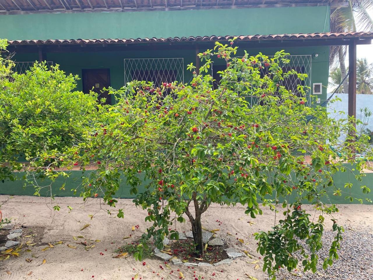 Nirvana Pipa Praia de Pipa Luaran gambar